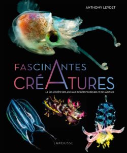 Fascinantes créatures des profondeurs